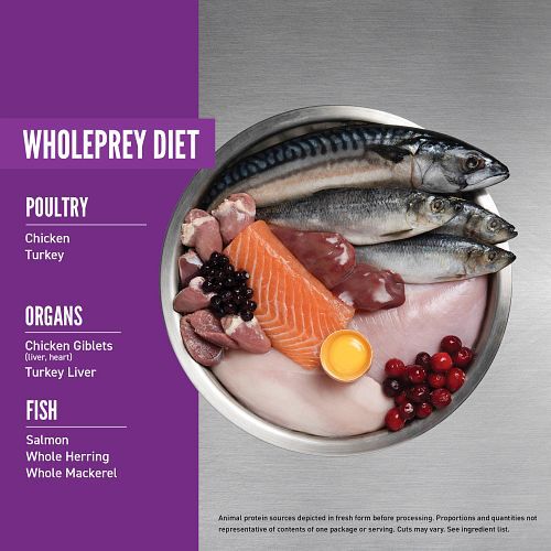 Orijen cat & kitten 340g cheap